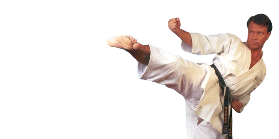 sean-karate-home